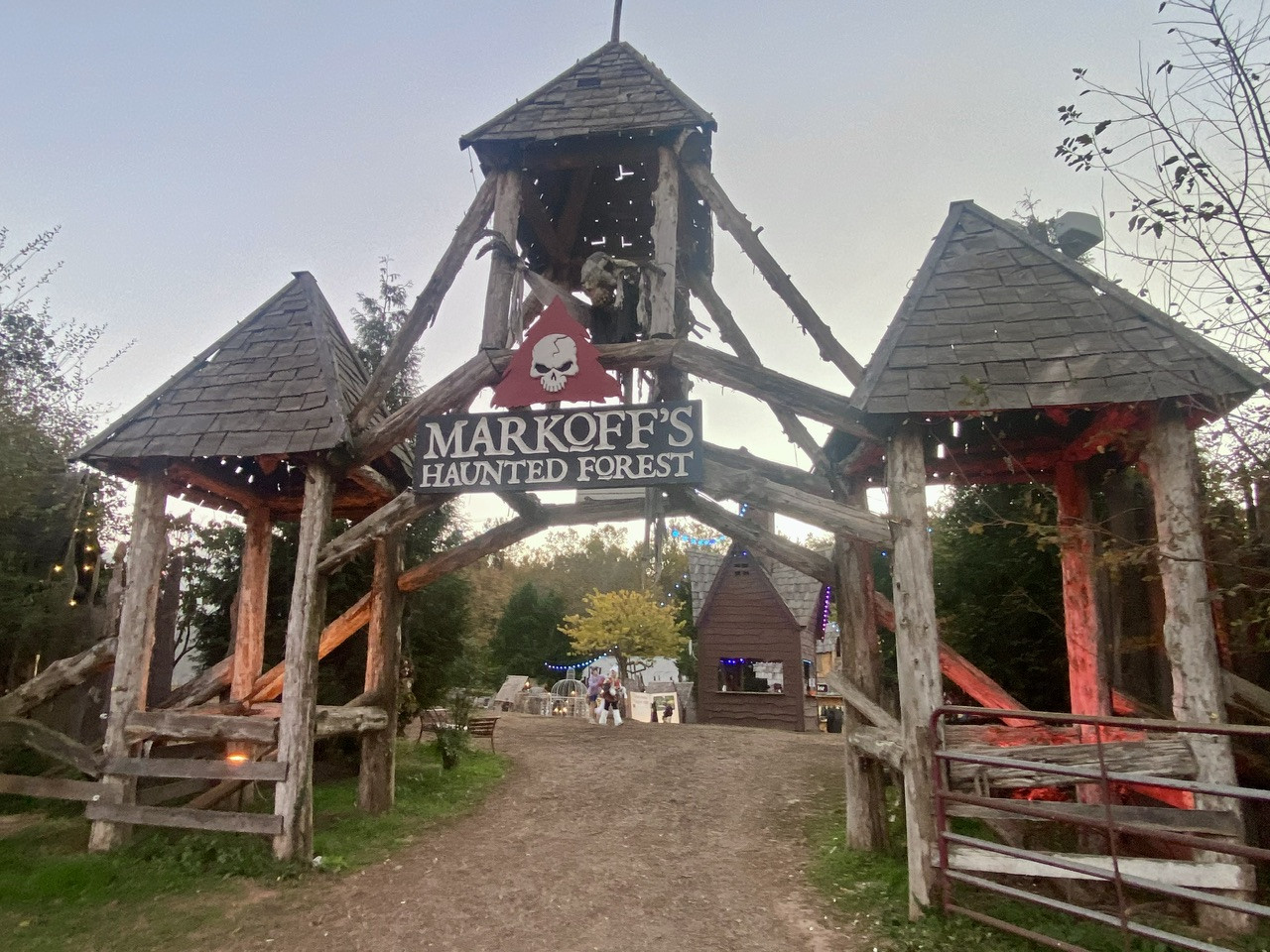 Markoff’s Haunted Forest